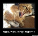 xSNYDERx